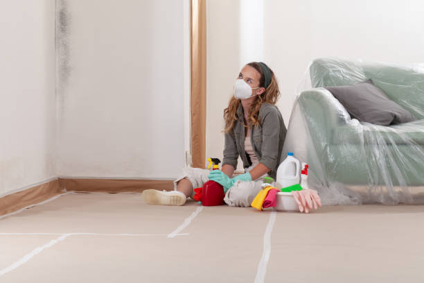 Reliable Black Mold Removal contractor in Callaway, MD by WQB Mold Removal